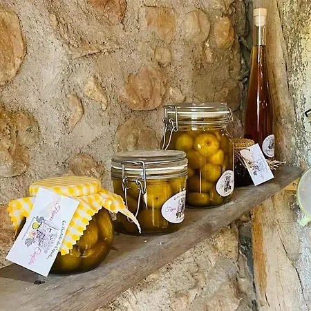 La Bastide Du Capelier - D'hotes Avec Baignoire Balneotherapie - 3 Etoiles Bed & Breakfast *